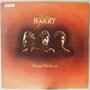 King Harry - Divided we stand - LP