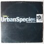 Urban Species with MC Solaar - Listen - 12"