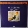 Pleasure And The Beast  - Gods Empty Chair - 12"