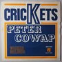 Peter Cowap - Crickets - Single