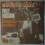 Polly Flosskin  - Sunny Day - Single