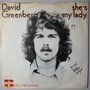 David Greenberg - She's my lady - Single