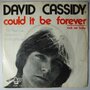 David Cassidy - Could it be forever - Single